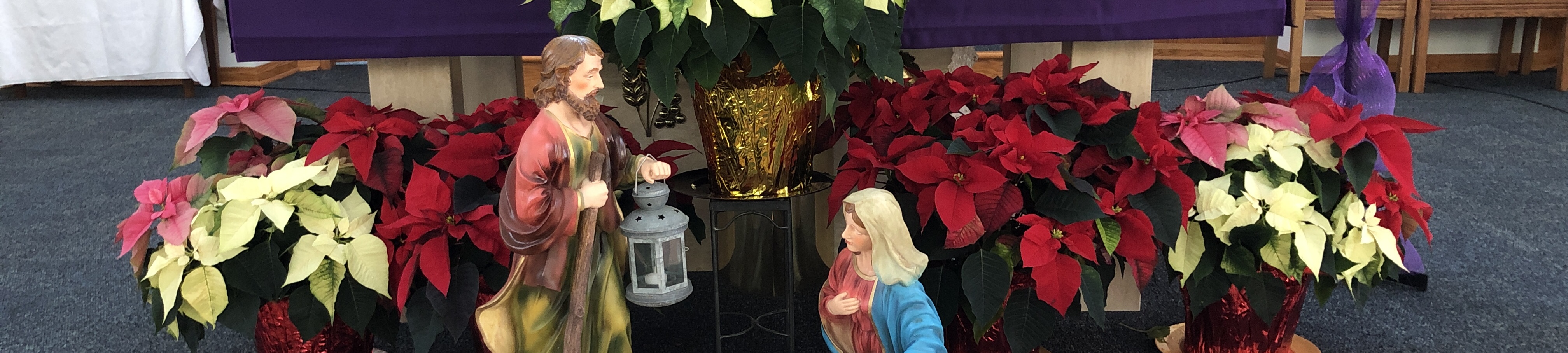 SM Christmas Sanctuary cropped